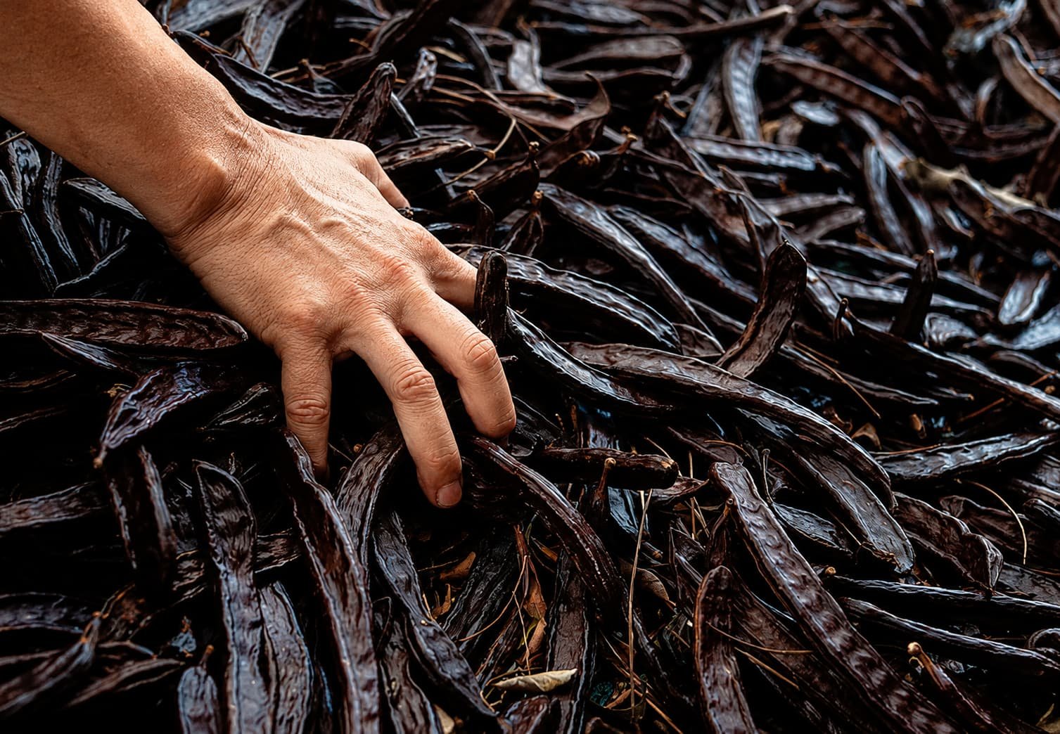 A transparent and traceable supply chain.