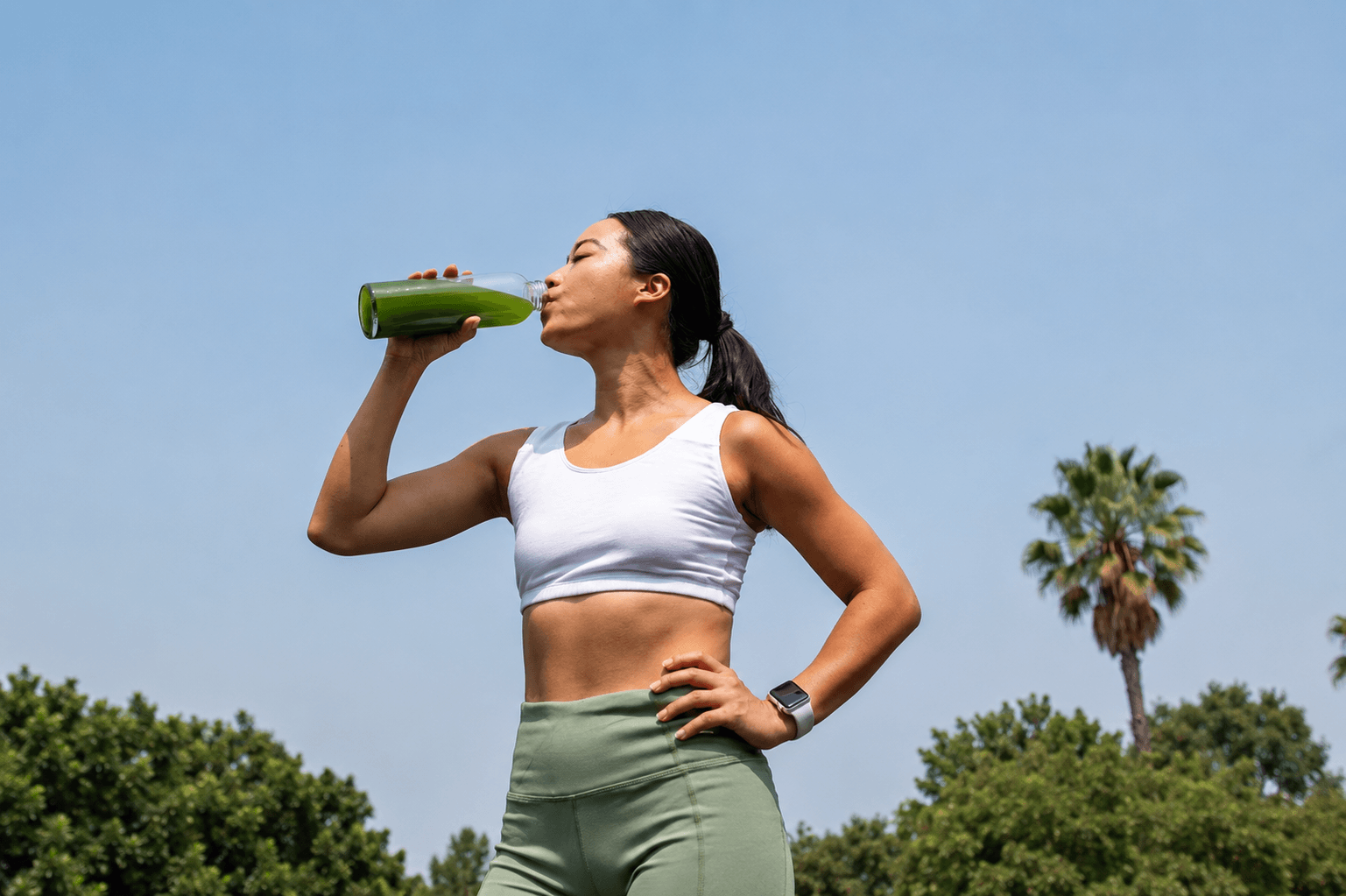 Active Nutrition