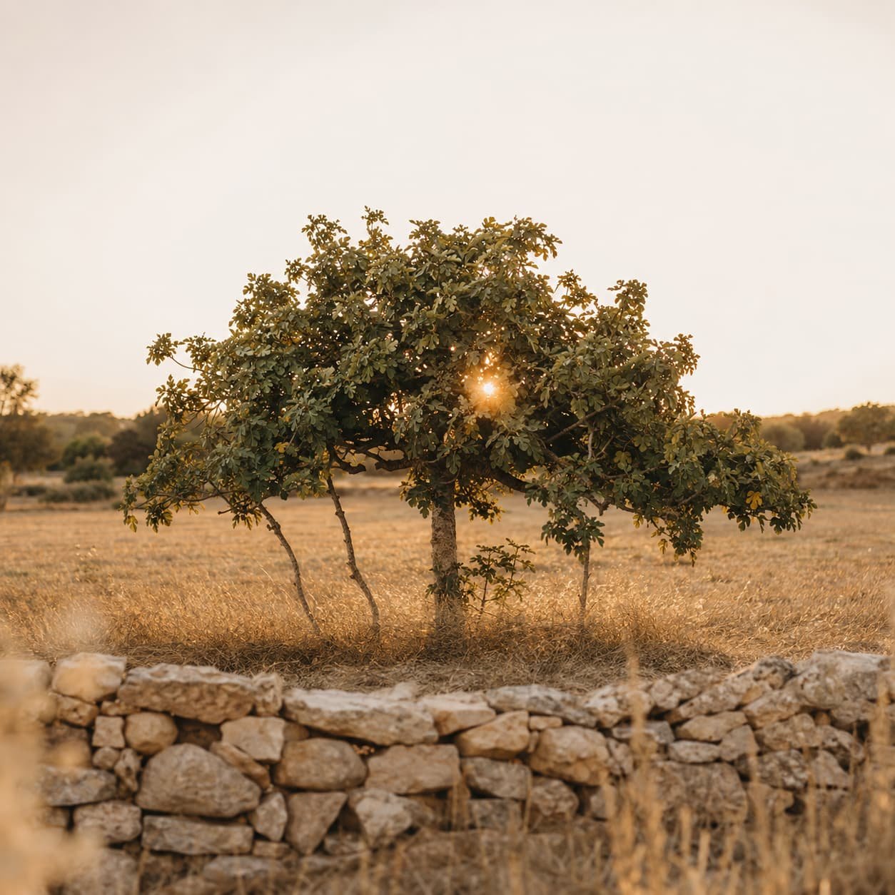 Sustainably Sourced, Locally Developed